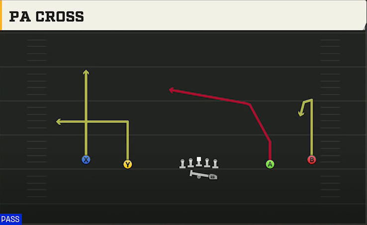 LSU Offense Gun Wide PA Cross play diagram