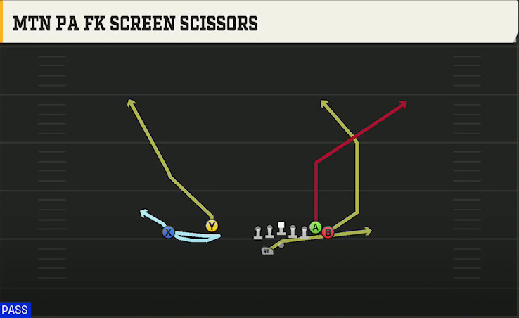 UMass Offense Gun Wing Flex Offset Wk Mtn PA FK Screen Scissors play diagram