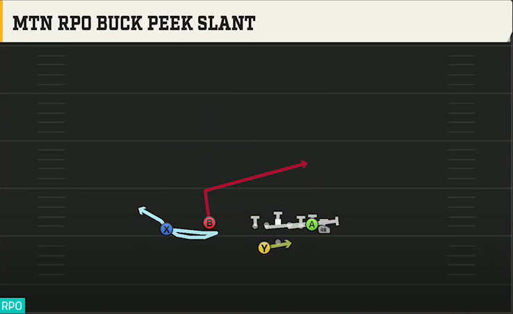 UMass Offense Gun Wing Flex Offset Wk Mtn RPO Buck Peek Slant play diagram