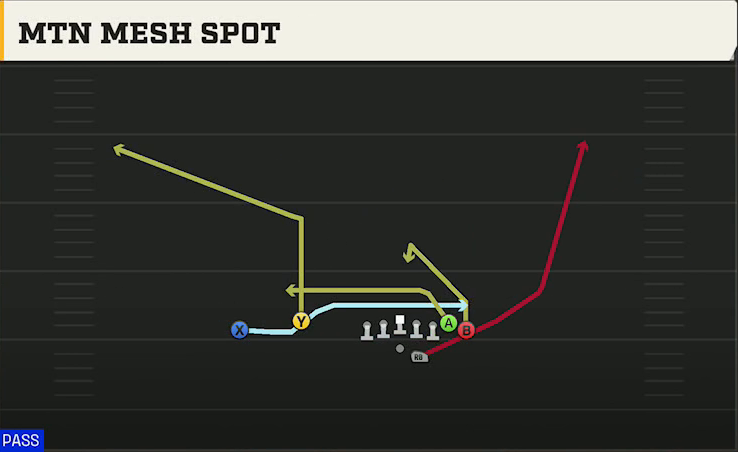 UMass Offense Gun Wing Flex Offset Mtn Mesh Spot play diagram
