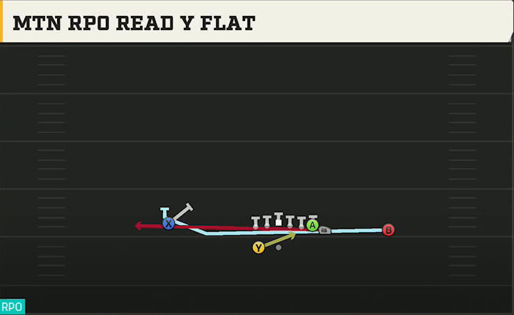 NC State Offense Gun Wing HB Wk Mtn RPO Read Y Flat play diagram