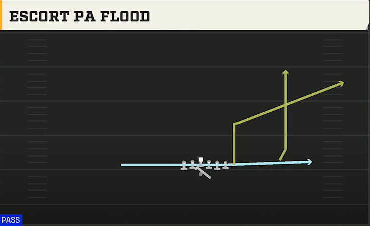 Kansas Offense Gun Wing Off 3TE Escort PA Flood play diagram