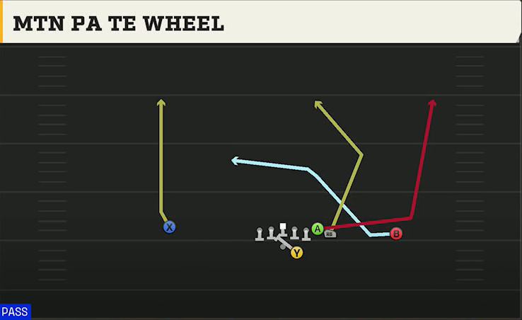 Michigan Offense Gun Wing Offset Mtn PA TE Wheel play diagram