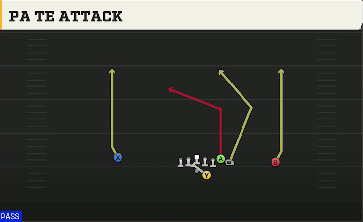 Michigan Offense Gun Wing Offset PA TE Attack play diagram