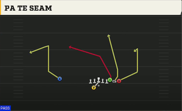 Marshall Offense Gun Wing Pair Wk PA TE Seam play diagram