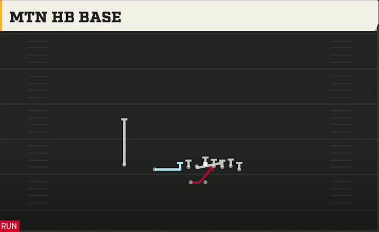 Washington Offense Gun Wing Slot Wk Mtn HB Base play diagram