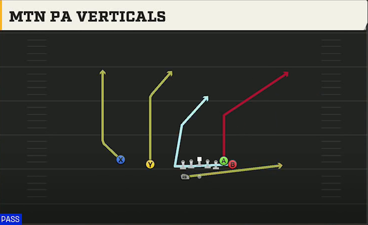 Washington Offense Gun Wing Slot Wk Mtn PA Verticals play diagram
