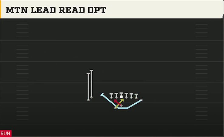 Rice Offense Gun Wingback Wing Stack Wk Mtn Lead Read Opt play diagram
