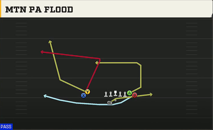 Rice Offense Gun Wingback Wing Stack Wk Mtn PA Flood play diagram
