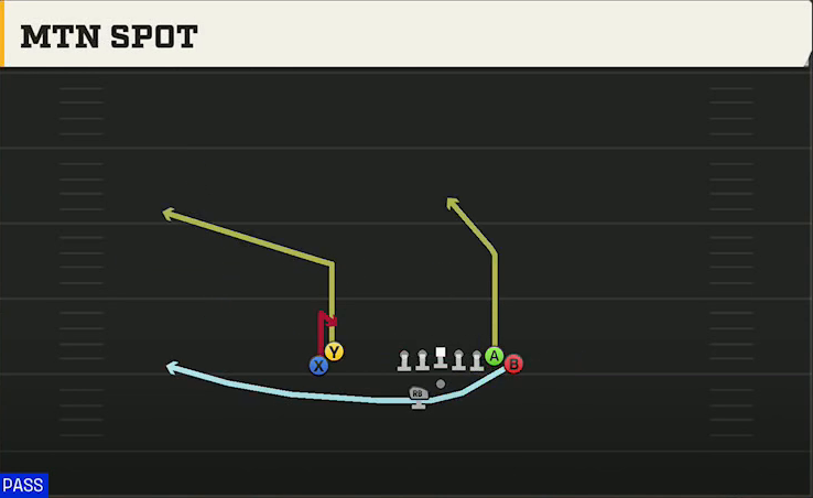Rice Offense Gun Wingback Wing Stack Wk Mtn Spot play diagram