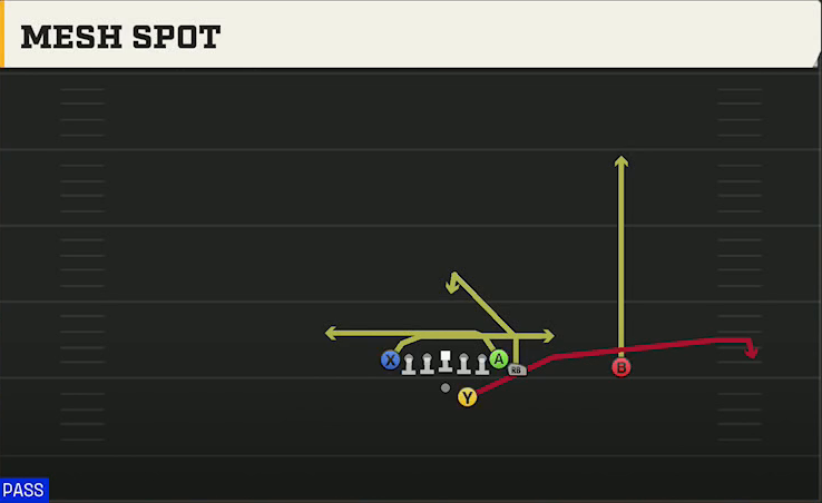 Washington Offense Gun Wing Tight Z Mesh Spot play diagram