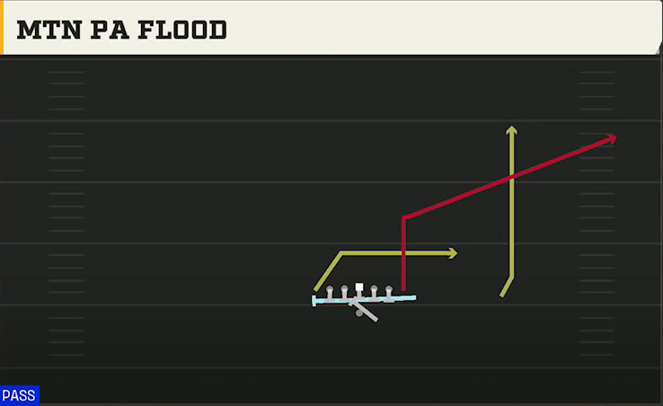 Penn State Offense Gun Wing Tight Z Mtn PA Flood play diagram