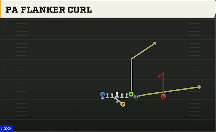 Washington Offense Gun Wing Tight Z PA Flanker Curl play diagram