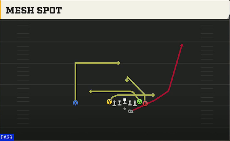 Penn State Offense Gun Wing Tight Mesh Spot play diagram