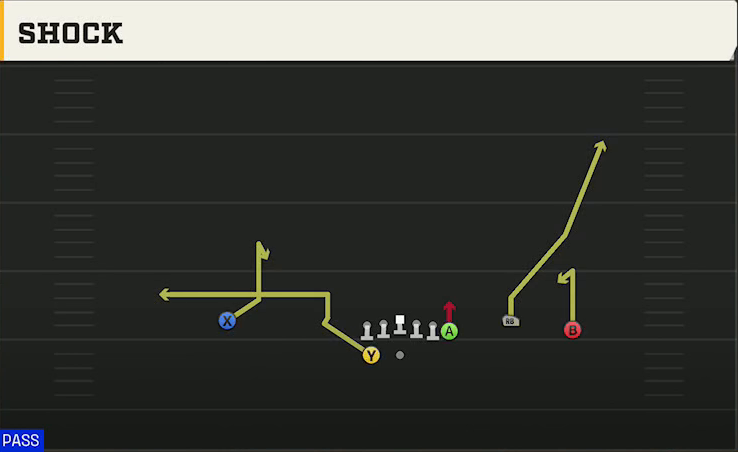 Pittsburgh Offense Gun Wing Trio Wk Shock play diagram