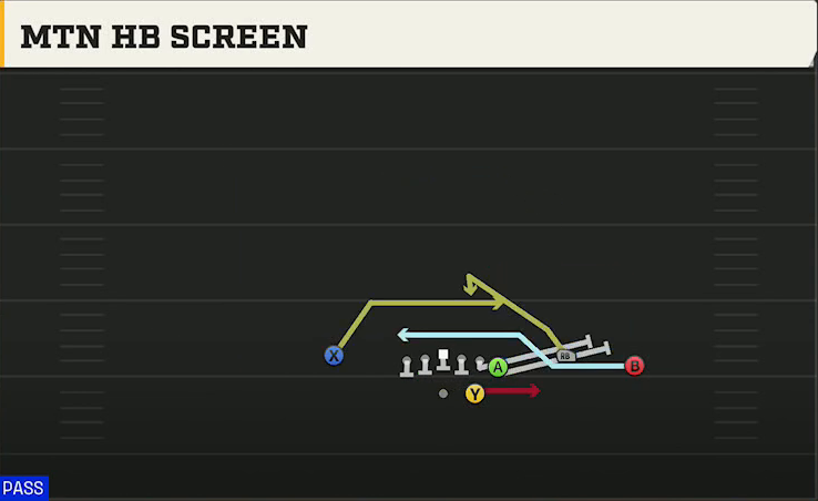 Florida State Offense Gun Wing Trio Mtn HB Screen play diagram