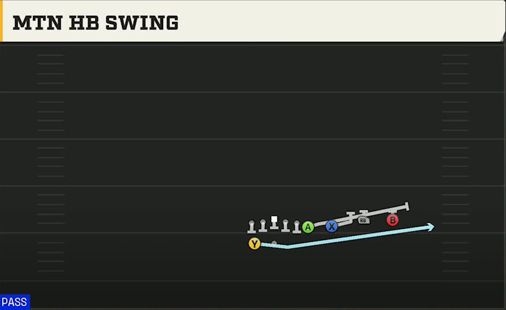 Arkansas Offense Gun Wing Trips Over Wk Mtn HB Swing play diagram