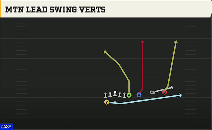Arkansas Offense Gun Wing Trips Over Wk Mtn Lead Swing Verts play diagram