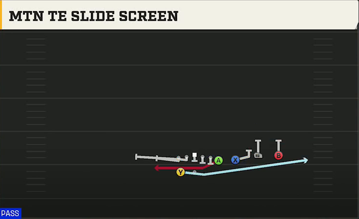 Arkansas Offense Gun Wing Trips Over Wk Mtn TE Slide Screen play diagram