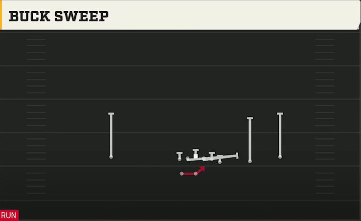 Delaware Offense Gun Wing Trips Wk Buck Sweep play diagram