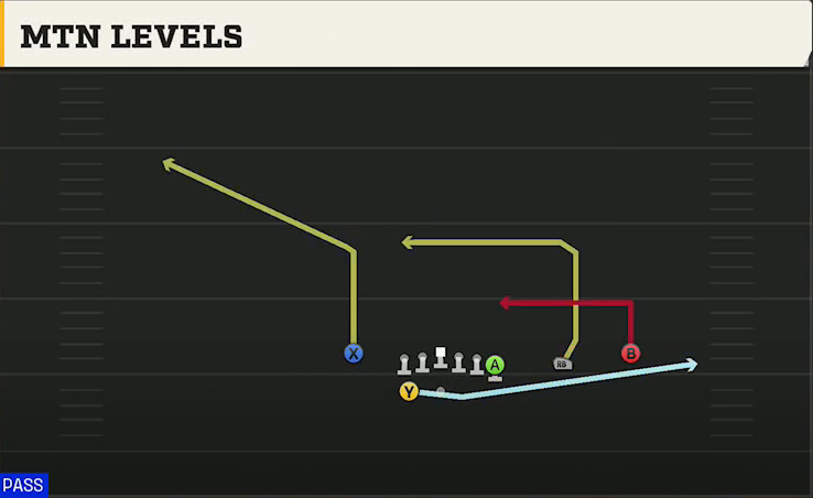 LSU Offense Gun Wing Trips Wk Mtn Levels play diagram