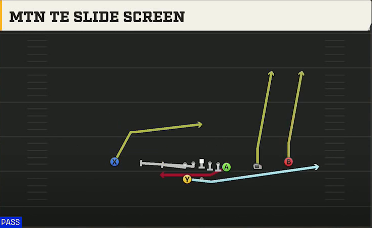 UTEP Offense Gun Wing Trips Wk Mtn TE Slide Screen play diagram