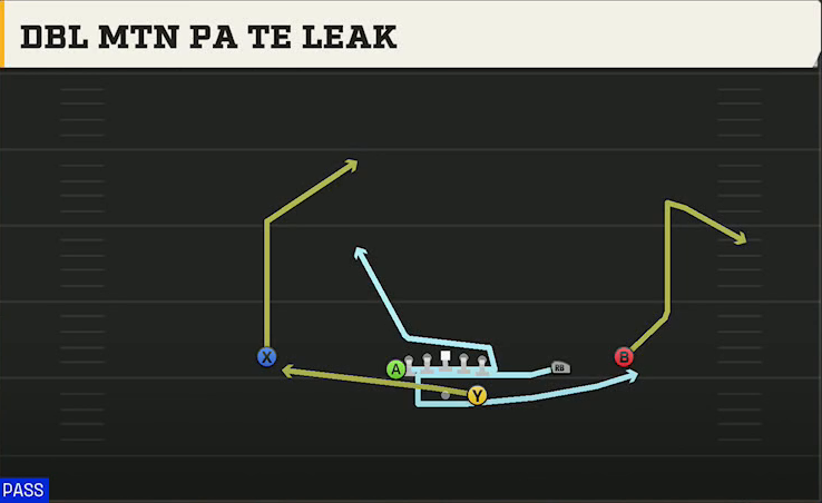 Kansas Offense Gun Wing Trips Dbl Mtn PA TE Leak play diagram