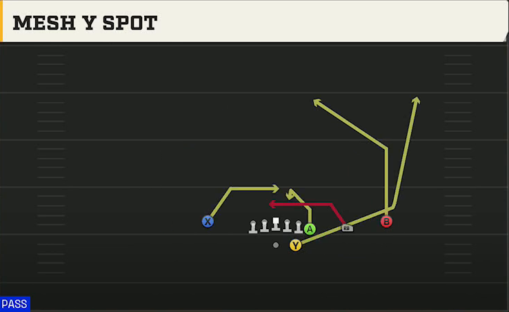 South Carolina Offense Gun Wing Trips Mesh Y Spot play diagram
