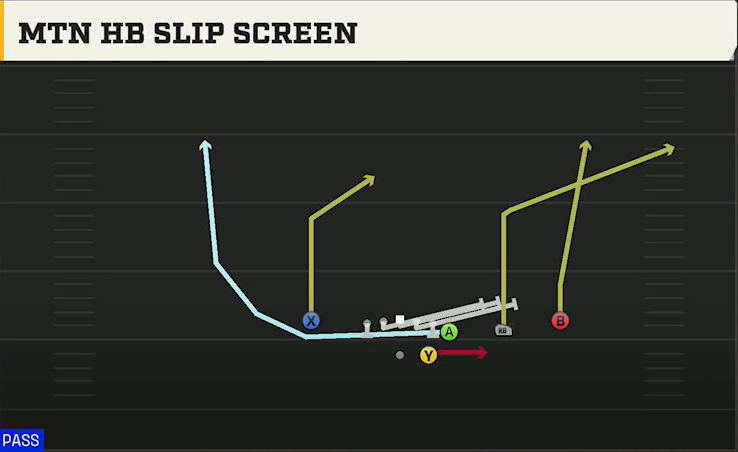 Georgia Offense Gun Wing Trips Mtn HB Slip Screen play diagram