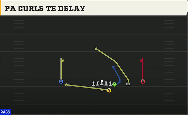 Georgia State Offense Gun Wing Trips PA Curls TE Delay play diagram