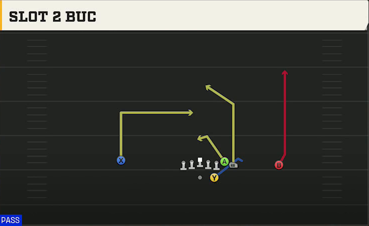 NC State Offense Gun Wing Slot 2 Buc play diagram