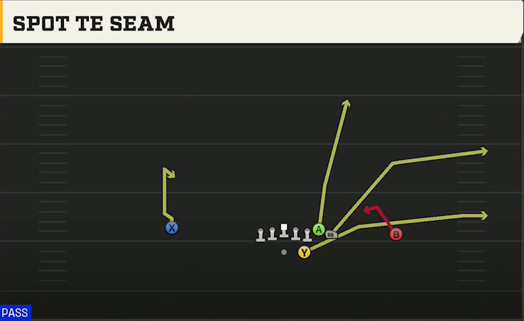 NC State Offense Gun Wing Spot TE Seam play diagram