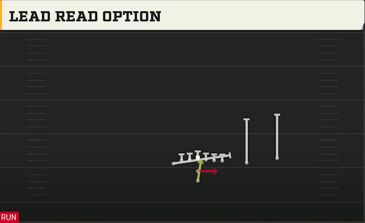 Rice Offense Gun Wingback Doubles Off Wk Lead Read Option play diagram