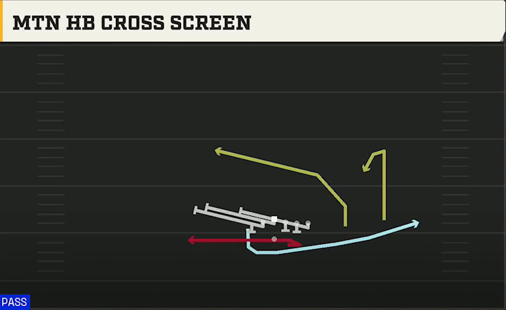 Rice Offense Gun Wingback Over Mtn HB Cross Screen play diagram