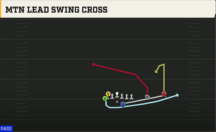Rice Offense Gun Wingback Over Mtn Lead Swing Cross play diagram