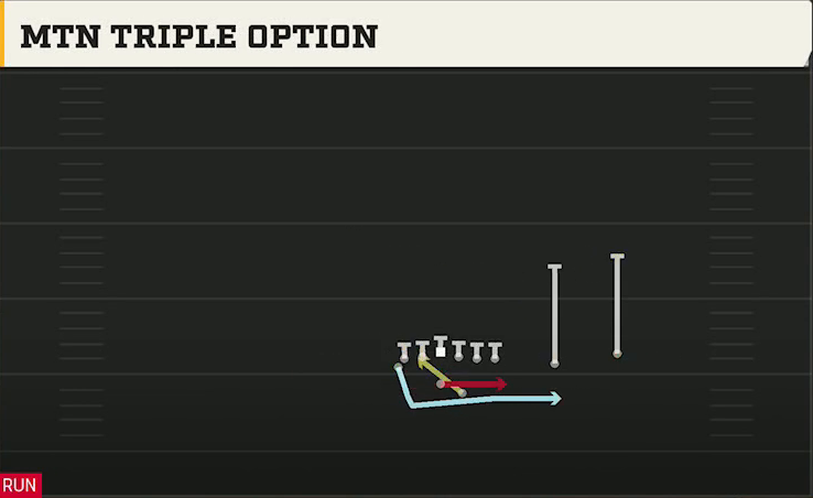 Rice Offense Gun Wingback Over Mtn Triple Option play diagram