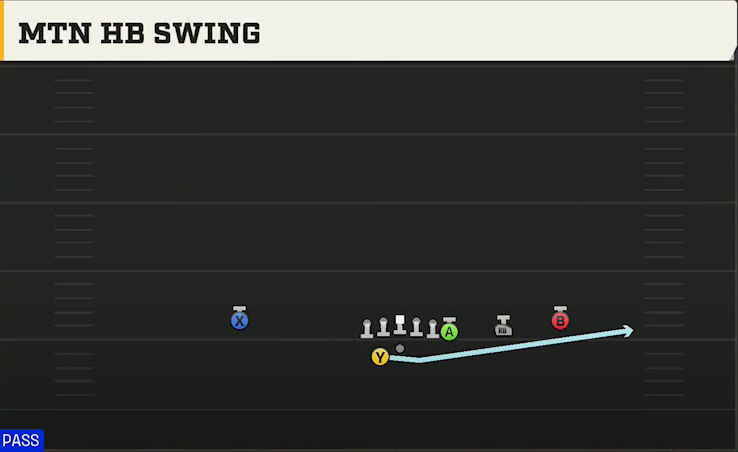 USF Offense Gun Y Off Trips Wk Mtn HB Swing play diagram