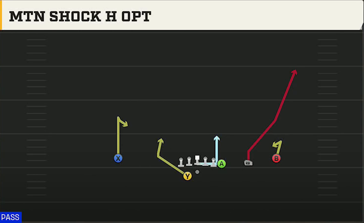 Temple Offense Gun Y Off Trips Wk Mtn Shock H Opt play diagram