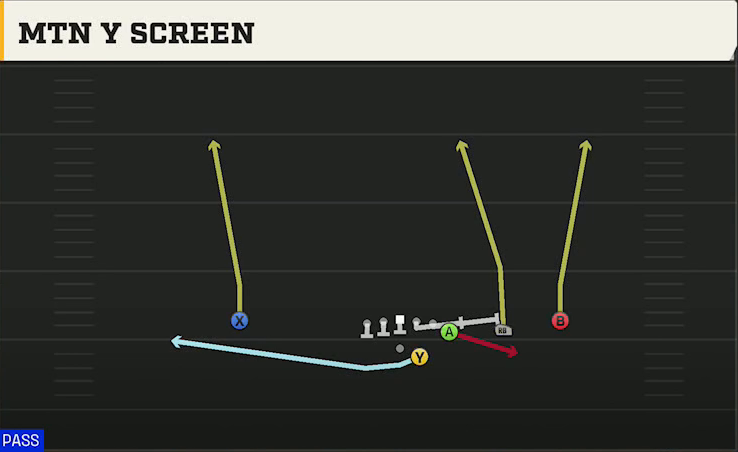 Rice Offense Gun Y Off Trips Mtn Y Screen play diagram