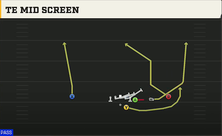 Georgia Offense Gun Y Off Trips TE Mid Screen play diagram