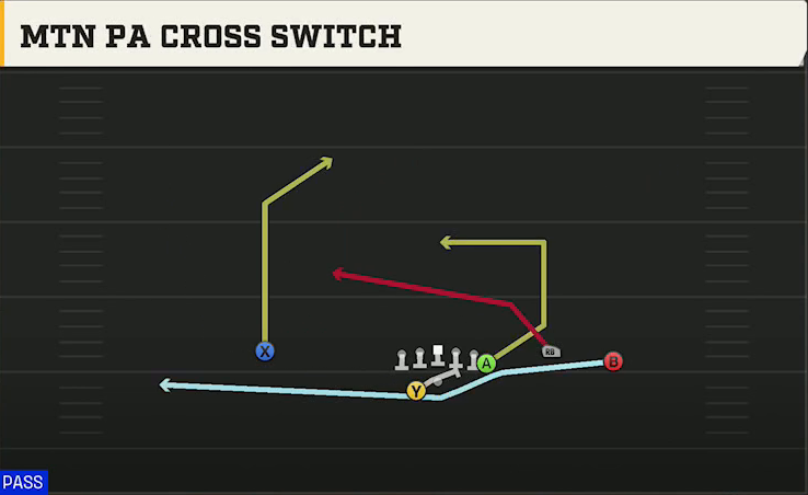 New Mexico State Offense Gun Y Trio Offset Wk Mtn PA Cross Switch play diagram