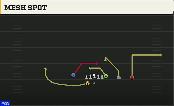 Washington Offense Gun Y Trips Wk Mesh Spot play diagram