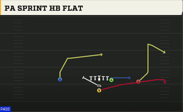 Washington Offense I Form Pro PA Sprint HB Flat play diagram