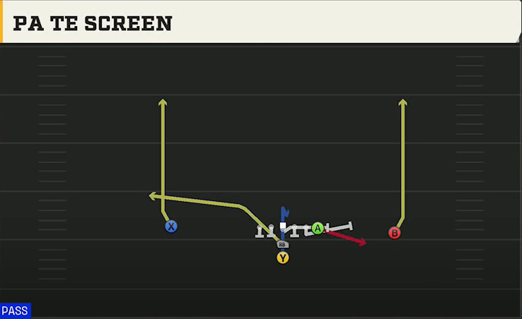 Washington Offense I Form Pro PA TE Screen play diagram