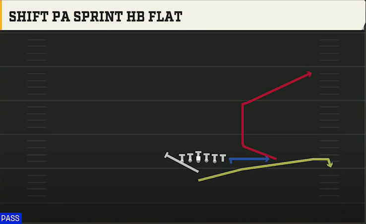 North Dakota State Offense I Form Wing Over Shift PA Sprint HB Flat play diagram