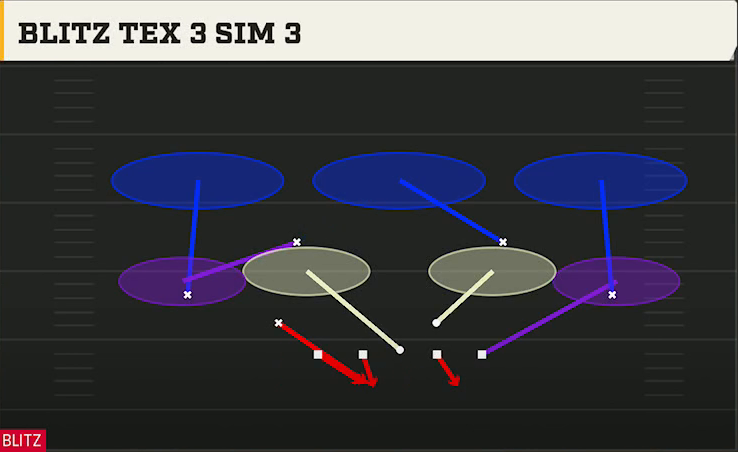 3-4 Shell Defense Nickel 2-4 Single Mug Blitz Tex 3 Sim 3 play diagram
