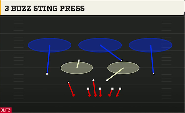 3-4 Defense Nickel 3-3 Mint 3 Buzz Sting Press play diagram