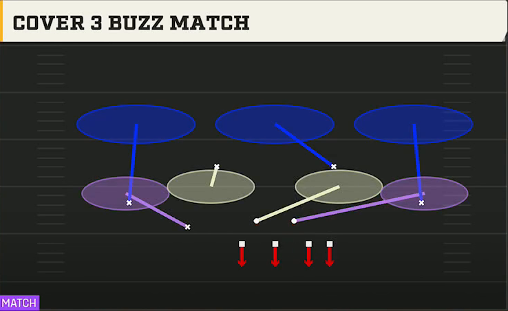 4-2-5 Defense Nickel 3-3 Mint Cover 3 Buzz Match play diagram