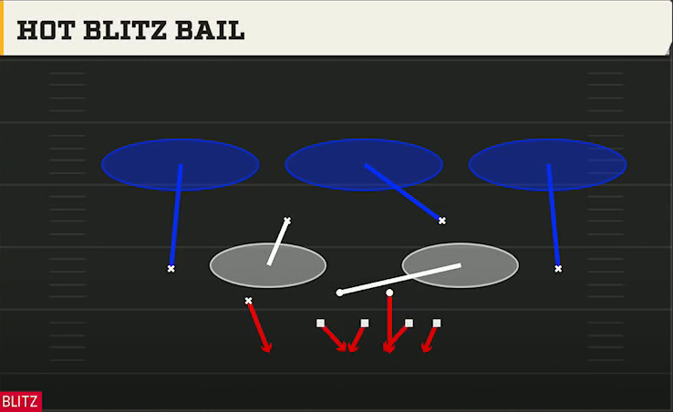 4-2-5 Defense Nickel 3-3 Mint Hot Blitz Bail play diagram