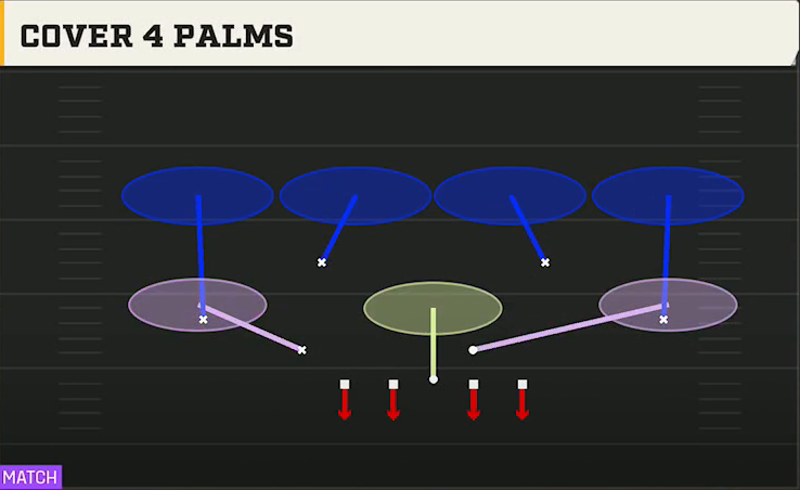 4-2-5 Defense Nickel Single Mug Cover 4 Palms play diagram